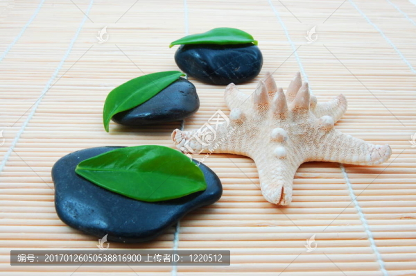 禪石