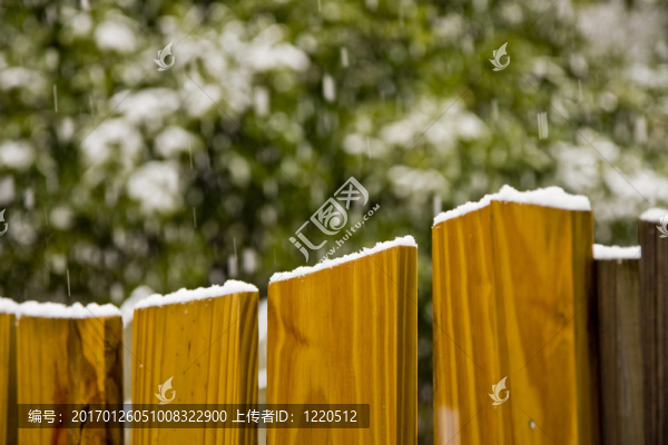 籬笆上的雪