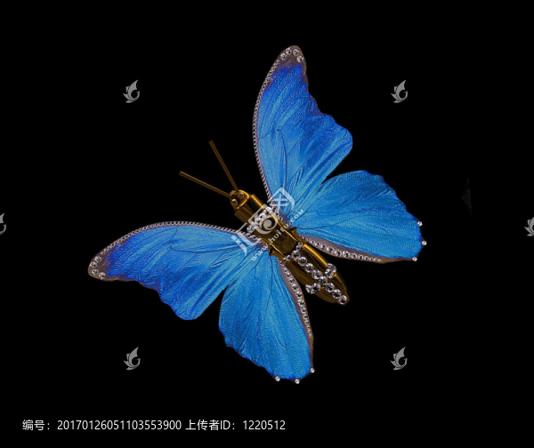 蝴蝶