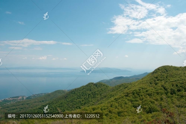 山