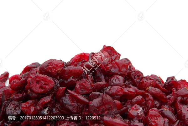 Cranberry,03