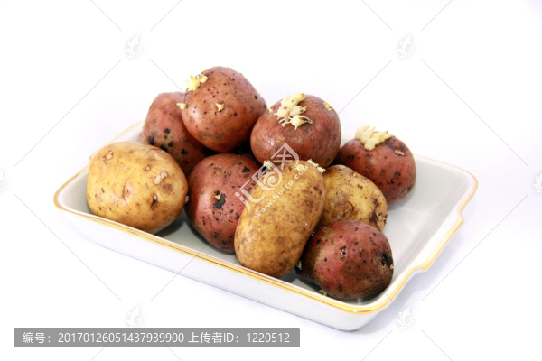 生土豆在碟上孤立