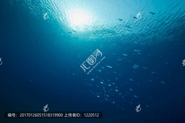 海洋；太陽與魚