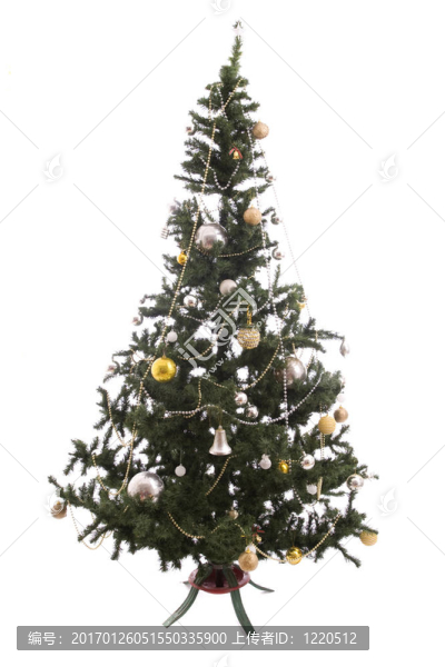 大的圣誕樹-匯圖網(wǎng) www.fosd68.com 大的圣誕樹
