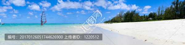 熱帶天堂