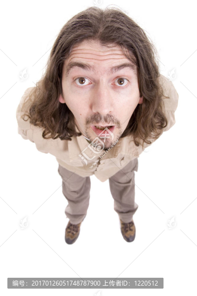 愚蠢的男人的肖像
