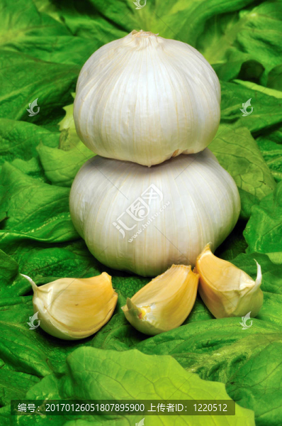 大蒜2