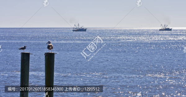 海鷗兩發(fā)兩蝦船