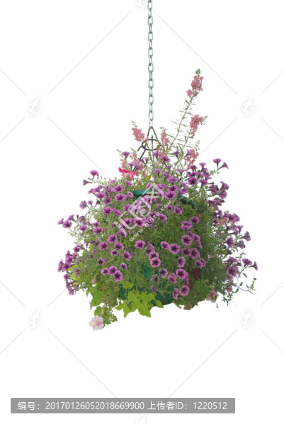 掛花花籃