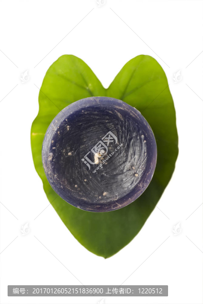 禪宗的靜物