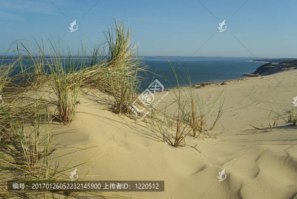 Dune,du,Pyla,03