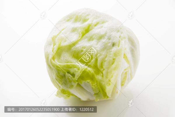 生菜