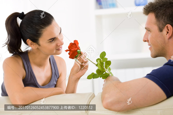 愛與玫瑰