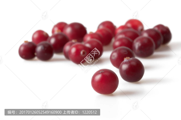 冷凍蔓越莓背景
