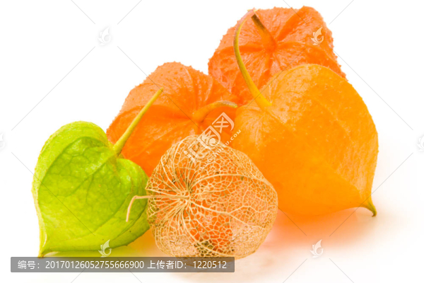 高調(diào)的酸漿