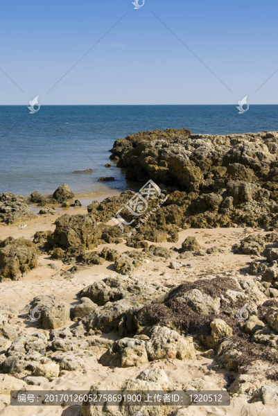 我們的海灘和峭壁