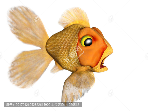 驚恐的金魚