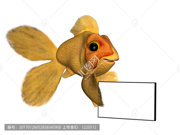 有跡象的金魚