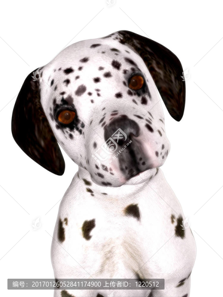 Dalmatian的小狗