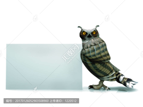 貓頭鷹與標(biāo)志