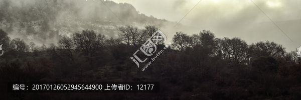 山