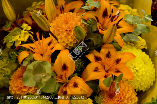 Bright,Orange和Yellow,Flowers