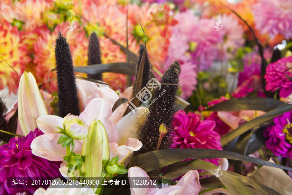 Fresh,Flowers和百合