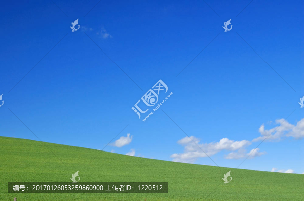 春天的田野