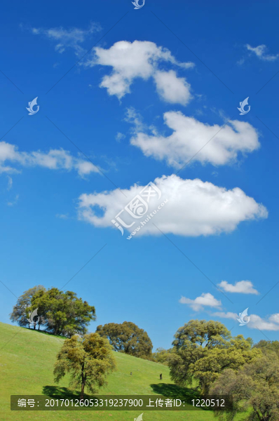 春天的風(fēng)景
