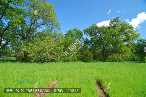 陷在泥里