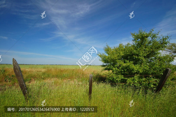 春天的鄉(xiāng)村-匯圖網(wǎng) www.fosd68.com 春天的鄉(xiāng)村