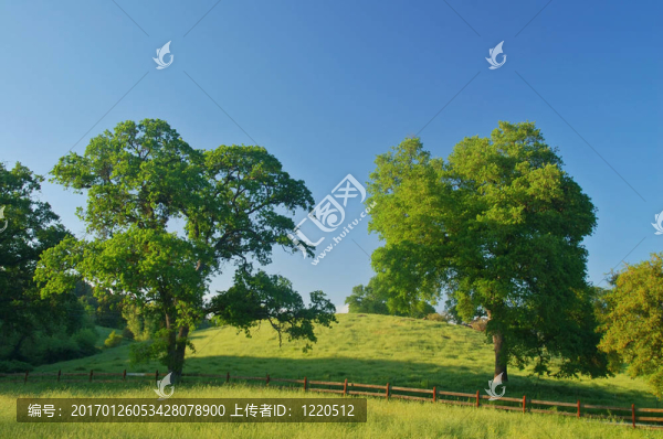 春天的鄉(xiāng)村