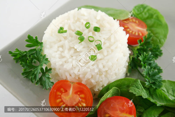 米飯和沙拉