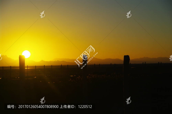 沙漠
