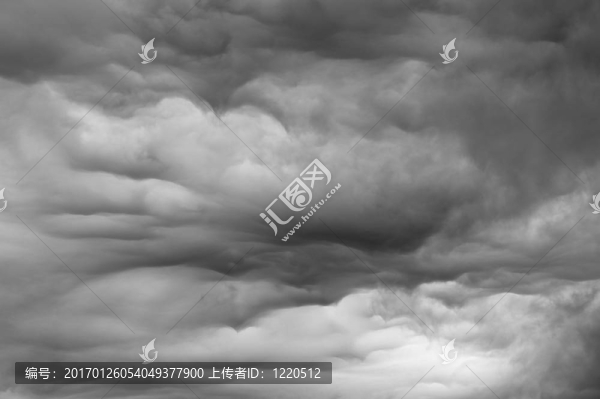 暴風(fēng)雨天王