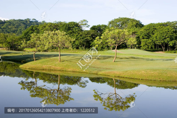樹在湖邊