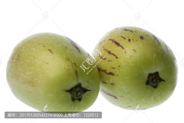 Pepino,Dulce（瓜梨）分離