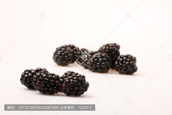 黑莓