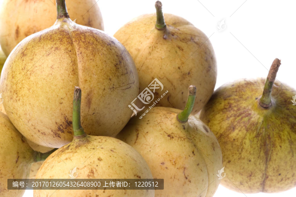 新鮮的肉豆寇分離