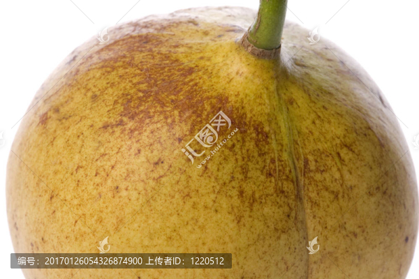 新鮮肉豆蔻宏觀分離