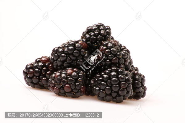 黑莓