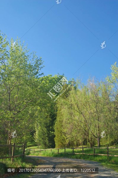 春天的鄉(xiāng)村