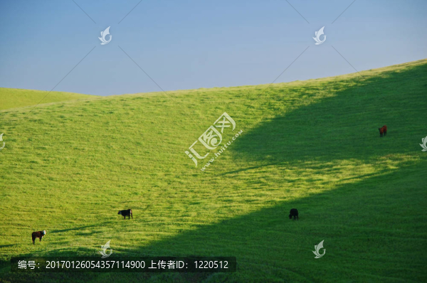 農(nóng)業(yè)景觀
