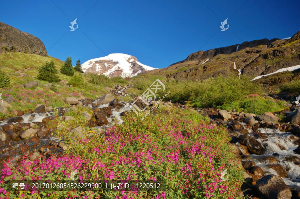 山地景觀