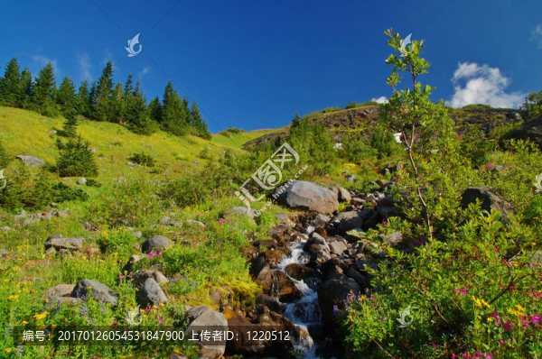 風景優(yōu)美的山地景觀