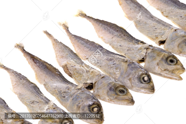 鳳尾魚(yú)干