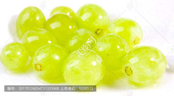 濕的白葡萄