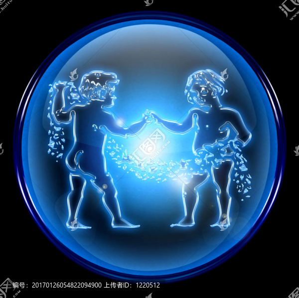雙子座生肖按鈕圖標(biāo)