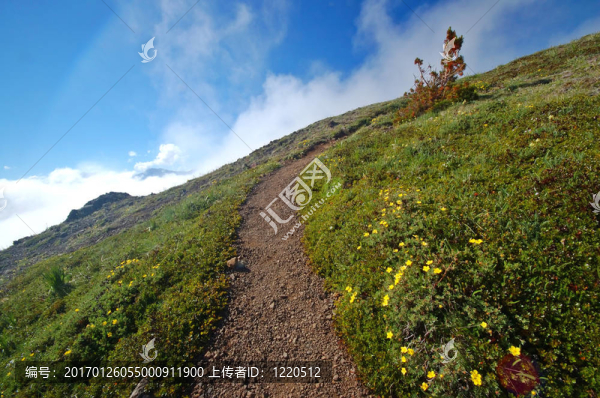 山中小徑