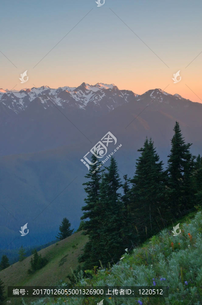 山景